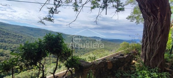 casa indipendente in vendita a Roccastrada in zona Sticciano