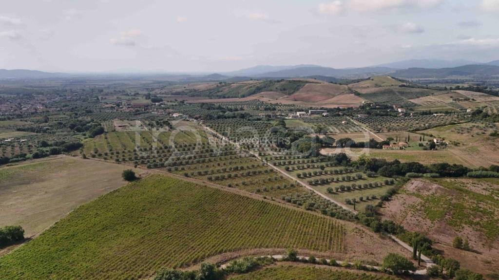 terreno agricolo in vendita a Roccastrada in zona Ribolla