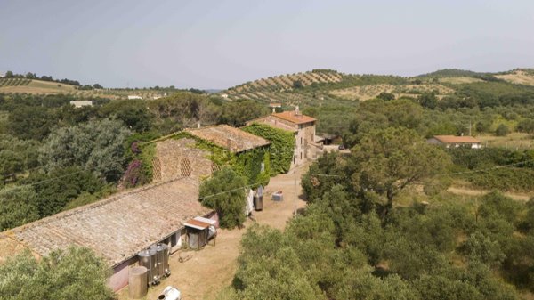 azienda agricola in vendita a Roccastrada in zona Ribolla