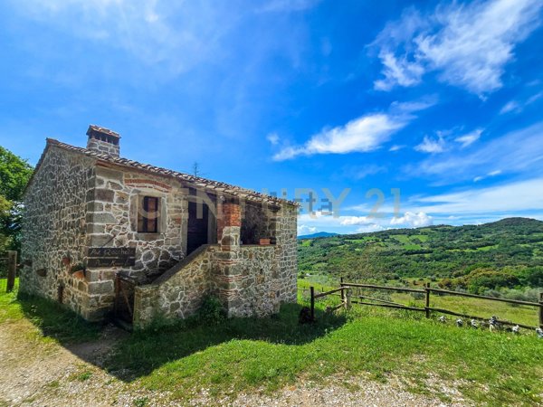 pentavano in vendita a Roccastrada