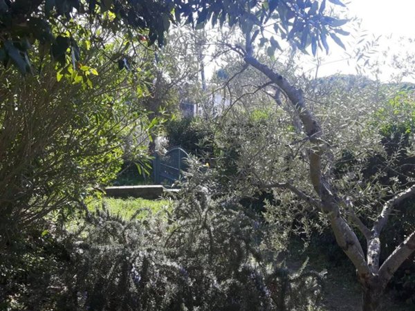 immagine annuncio 0 di 1