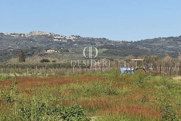 azienda agricola in vendita a Roccastrada