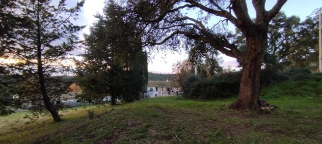 casa indipendente in vendita a Roccastrada