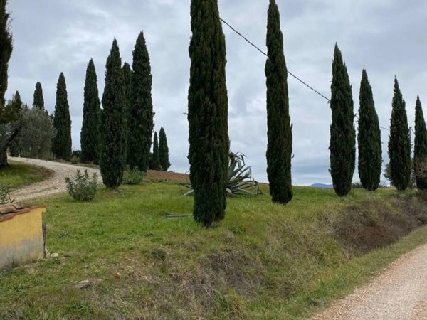 casa indipendente in vendita a Roccastrada