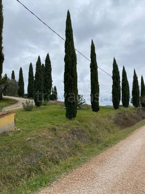 casa indipendente in vendita a Roccastrada