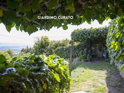 appartamento in vendita a Roccastrada