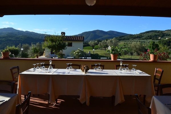 negozio in vendita a Roccastrada