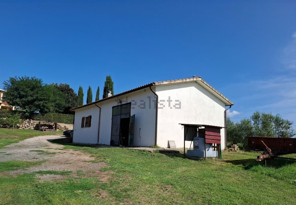 azienda agricola in vendita a Roccastrada in zona Montemassi