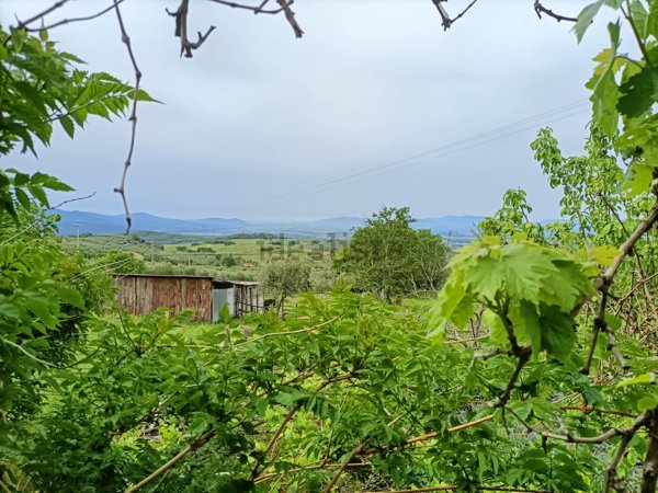 appartamento in vendita a Roccastrada in zona Ribolla