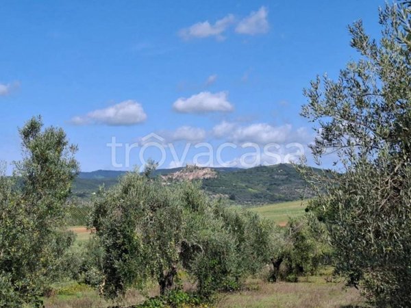 locale di sgombero in vendita a Roccastrada in zona Montemassi