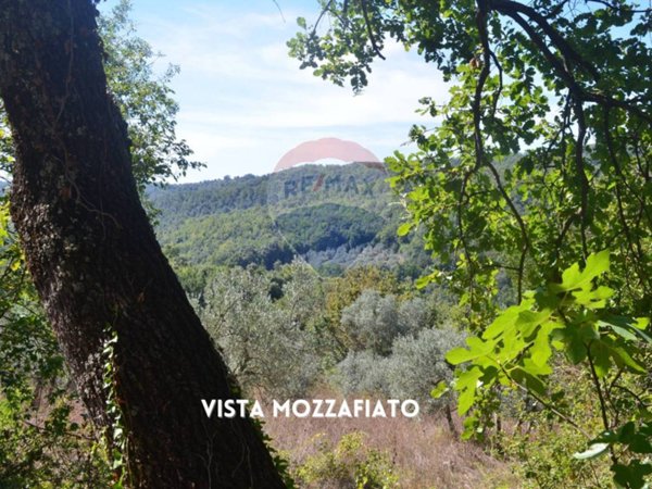 terreno agricolo in vendita a Roccastrada in zona Roccatederighi