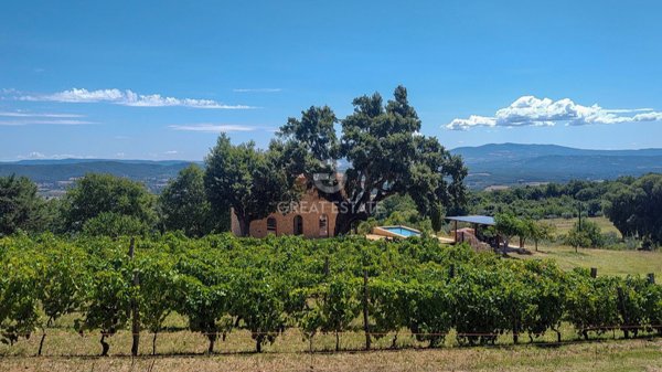 casale in vendita a Roccastrada