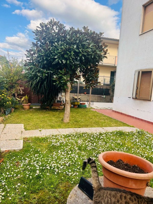 appartamento in vendita a Roccastrada