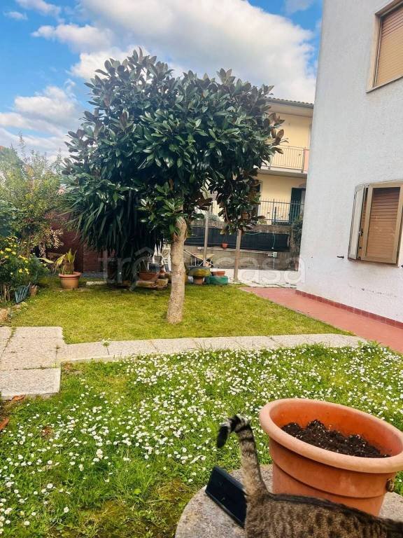 appartamento in vendita a Roccastrada in zona Ribolla