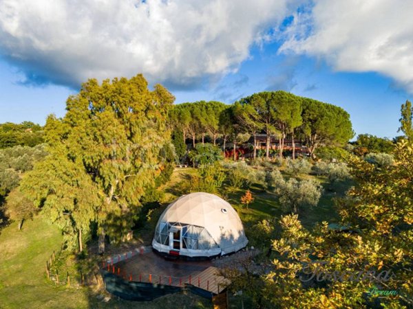 casa indipendente in vendita a Roccastrada in zona Montemassi