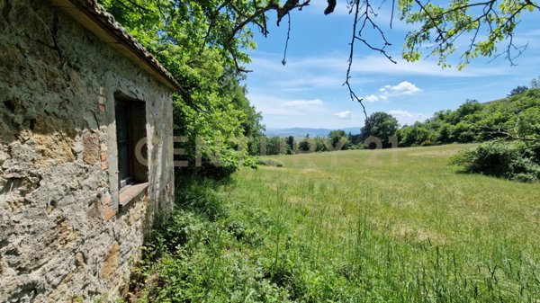 casa indipendente in vendita a Roccastrada in zona Roccatederighi