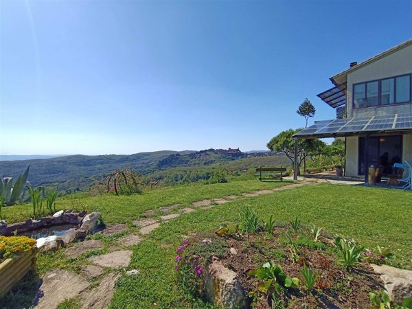 azienda agricola in vendita a Roccastrada