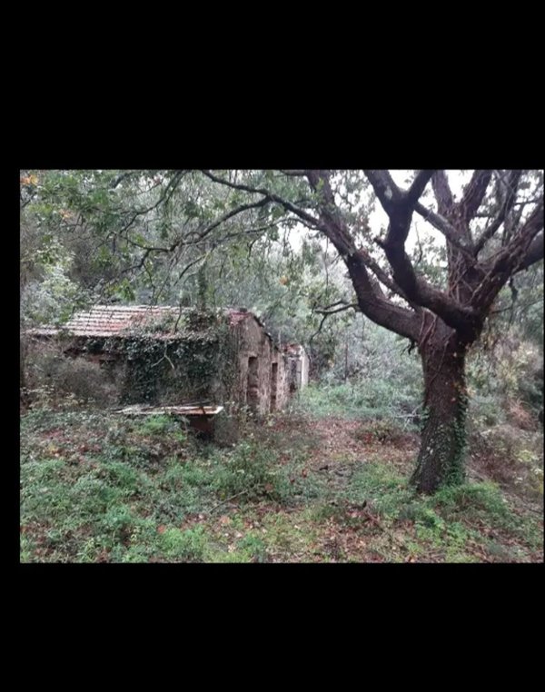 terreno agricolo in vendita a Roccastrada