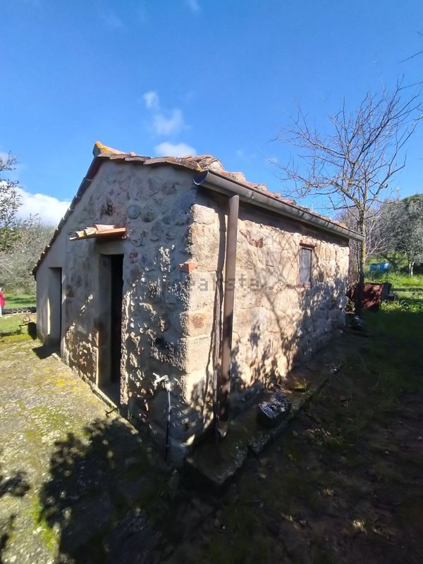 appartamento in vendita a Roccastrada