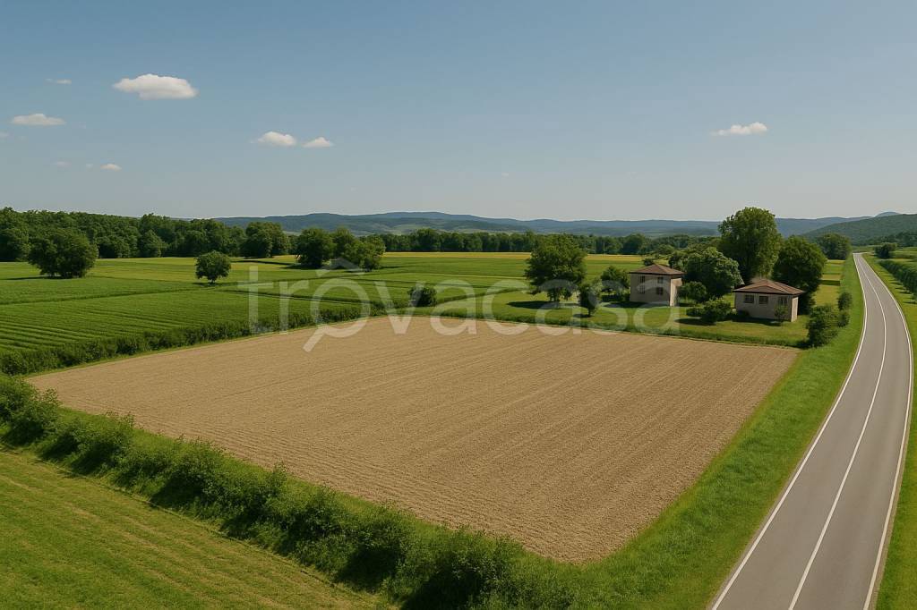 terreno agricolo in vendita a Roccastrada