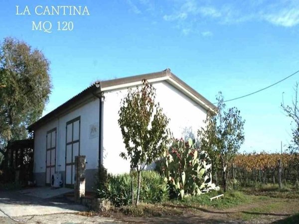 azienda agricola in vendita a Roccastrada in zona Montemassi
