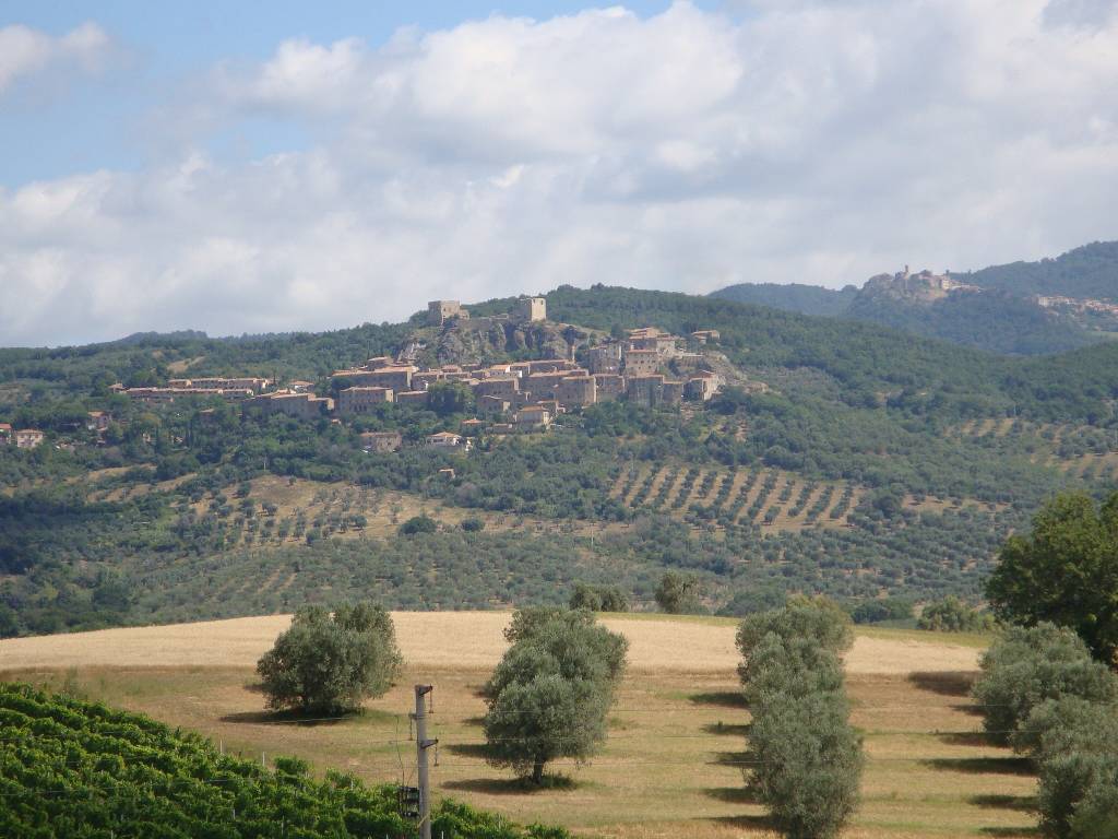 azienda agricola in vendita a Roccastrada