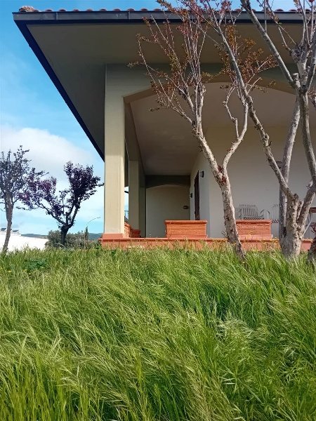 casa indipendente in vendita a Roccastrada in zona Ribolla