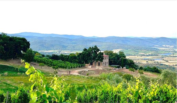 casa indipendente in vendita a Roccastrada in zona Montemassi