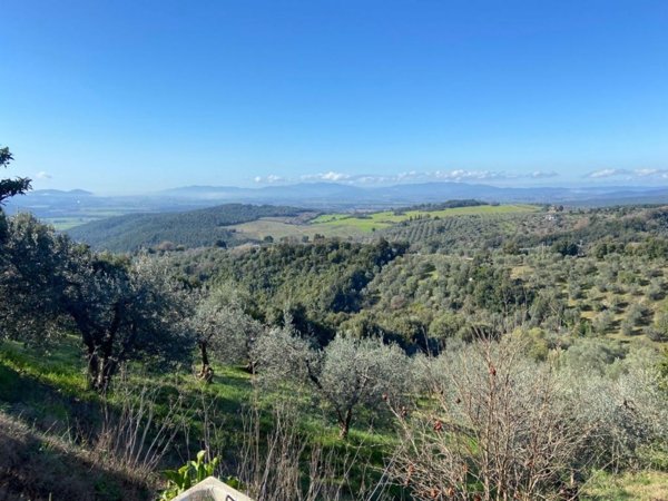 appartamento in vendita a Roccastrada