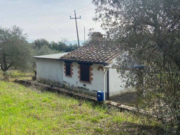 casa indipendente in vendita a Roccastrada