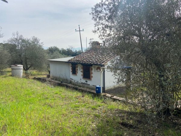 appartamento in vendita a Roccastrada