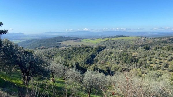 casa indipendente in vendita a Roccastrada