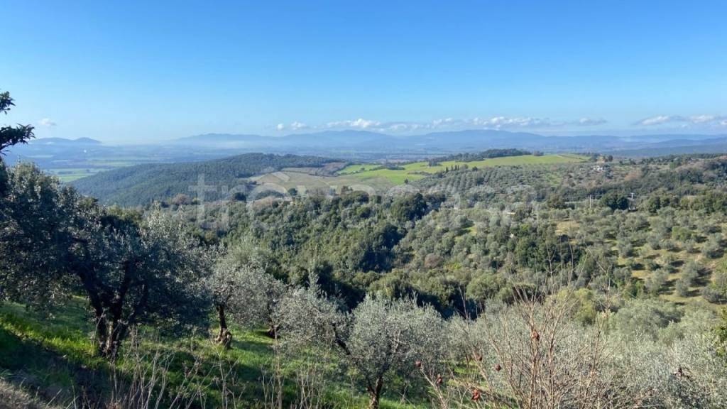 casa indipendente in vendita a Roccastrada