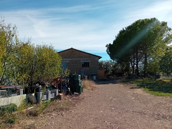 capannone in vendita a Roccastrada