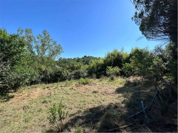 capannone in vendita a Roccastrada in zona Torniella