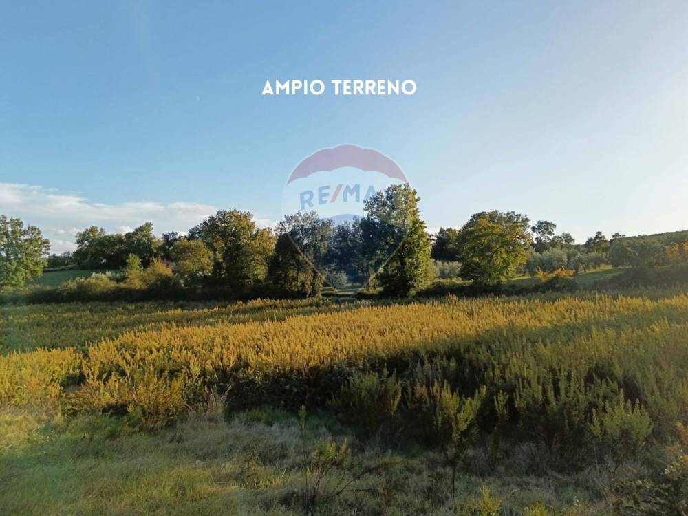 casa indipendente in vendita a Roccastrada