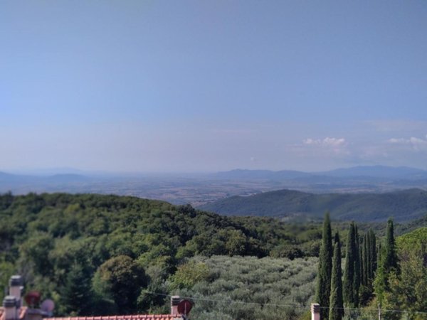 appartamento in vendita a Roccastrada in zona Roccatederighi
