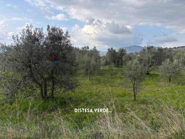 casa indipendente in vendita a Roccastrada
