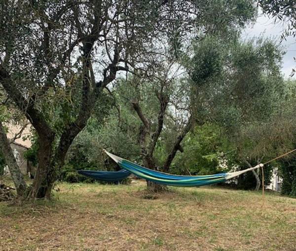 casa indipendente in vendita a Roccastrada