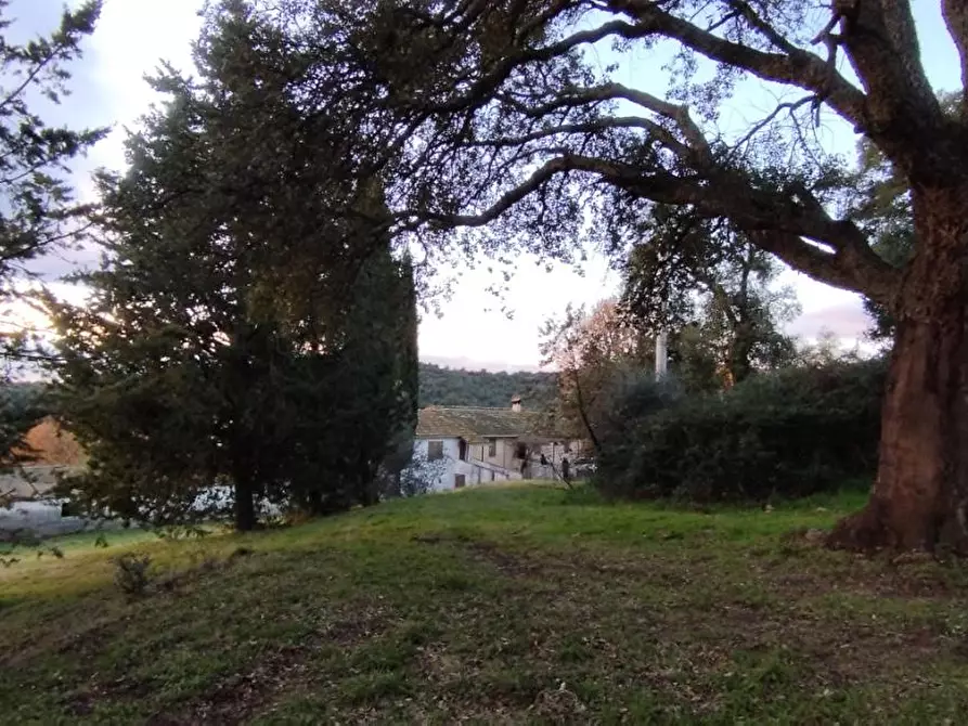 casa indipendente in vendita a Roccastrada