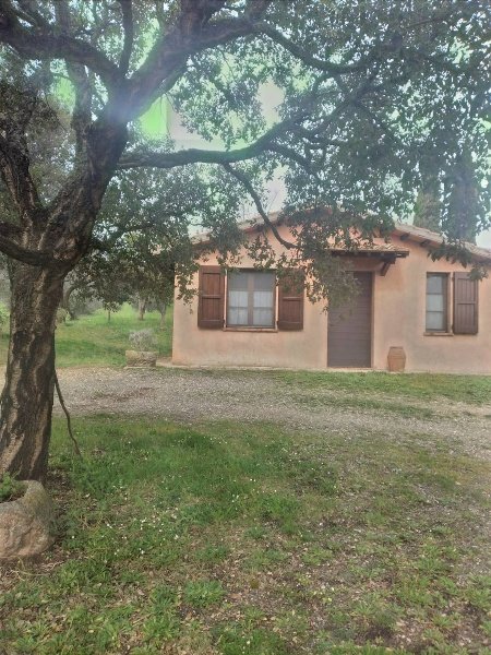 casa indipendente in vendita a Roccastrada