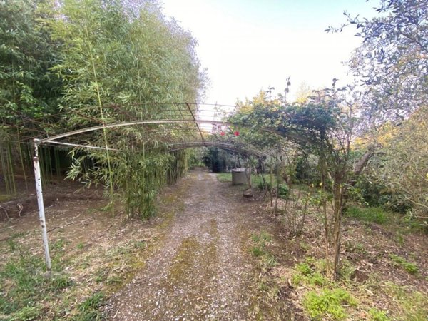 appartamento in vendita a Roccastrada