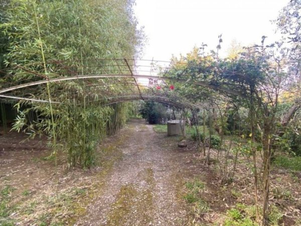 casa indipendente in vendita a Roccastrada