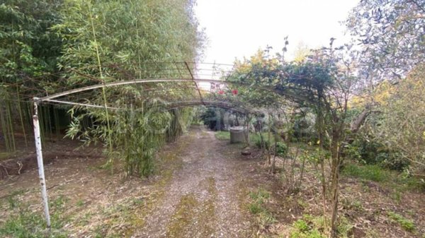 casa indipendente in vendita a Roccastrada