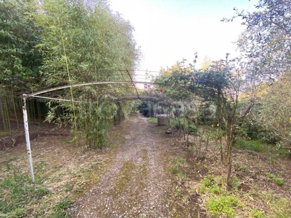 appartamento in vendita a Roccastrada
