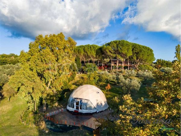 casa indipendente in vendita a Roccastrada in zona Montemassi
