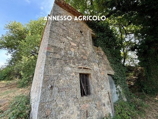 casa indipendente in vendita a Roccastrada in zona Sassofortino
