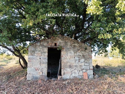 casa indipendente in vendita a Roccastrada