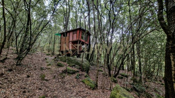 casa indipendente in vendita a Roccastrada in zona Sassofortino