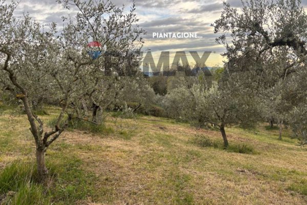 appartamento in vendita a Roccastrada in zona Roccatederighi